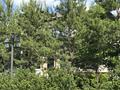 Жеке үй · 7 бөлме · 600 м² · 12 сот., Шалкыма — Bi Village Deluxe 3, бағасы: ~ 1.5 млрд ₸ в Астане, Есильский р-н