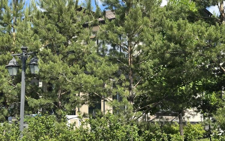 Жеке үй · 7 бөлме · 600 м² · 12 сот., Шалкыма — Bi Village Deluxe 3, бағасы: ~ 1.5 млрд ₸ в Астане, Есильский р-н — фото 4