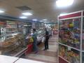 Продаётся действующий бизнес продуктовый магазин · 386 м² за 220 млн ₸ в Петропавловске — фото 3