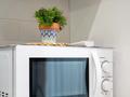 2-бөлмелі пәтер · 65 м² · 14/19 қабат, Сейфуллина 574/1 к3, бағасы: 38 000 ₸ в Алматы, Бостандыкский р-н — фото 4