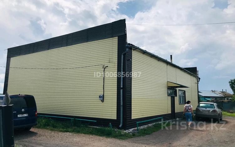Магазины и бутики, склады, медцентры и аптеки, развлечения · 250 м² за 16 млн ₸ в Саумалколе — фото 2