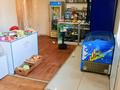 Отдельный дом · 4 комнаты · 160 м² · 15 сот., Кунаева 9 за 36 млн ₸ в Ащысае — фото 34