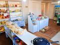 Отдельный дом · 4 комнаты · 160 м² · 15 сот., Кунаева 9 за 36 млн ₸ в Ащысае — фото 35