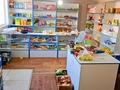 Отдельный дом · 4 комнаты · 160 м² · 15 сот., Кунаева 9 за 36 млн ₸ в Ащысае — фото 38