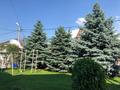 Отдельный дом · 6 комнат · 450 м² · 9 сот., мкр Баганашыл за 2.2 млн ₸ в Алматы, Бостандыкский р-н — фото 5