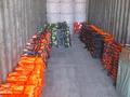 Зона отдыха Пляж · 40000 м² за 750 млн ₸ в Шардара — фото 8