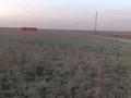 Жер телімі · 160 сотық, Тереңқара, бағасы: 4.5 млн ₸ в Теренкаре