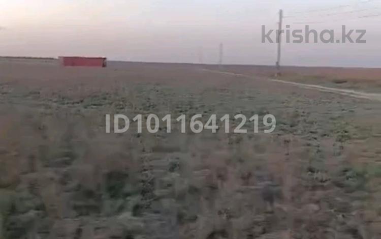 Жер телімі · 160 сотық, Тереңқара, бағасы: 4.5 млн ₸ в Теренкаре — фото 2