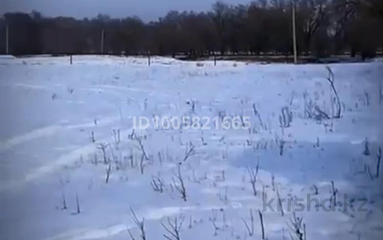 Жер телімі · 10 га, Тұрар, бағасы: 60 млн ₸ в  — фото 4