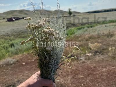 Участок · 4.5 га, Бурабай (Боровое) за 50 млн ₸