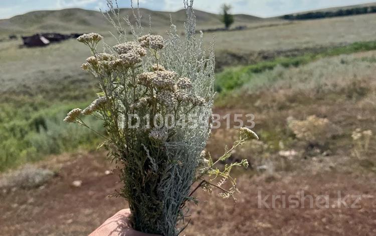 Участок · 4.5 га, Бурабай (Боровое) за 50 млн ₸ — фото 2