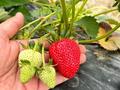 Жер телімі · 45 га, Улытау 136, бағасы: 499 млн ₸ в  — фото 4