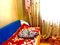 4 комнаты, 100 м², Амангельды 1 — Лебяжинская за 20 000 〒 в Павлодаре — фото 2