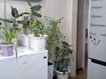 1-комнатная квартира · 42.3 м² · 3/3 этаж, Ухабова 29а за 15 млн 〒 в Петропавловске — фото 5