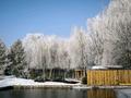 Саяжай · 3 бөлме · 100 м² · 25 жүзд., Момышулы, бағасы: 150 млн ₸ в Байсерке — фото 30
