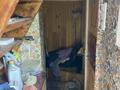 Отдельный дом · 3 комнаты · 60 м² · 15 сот., Эльбрус 25 за 15 млн ₸ в Кок-лай-сае — фото 6