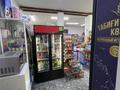 Бизнес · 100 м², бағасы: 16 млн ₸ в Астане, Сарыарка р-н — фото 5