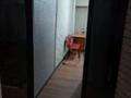 2-бөлмелі пәтер · 50 м² · 8/12 қабат, Кабанбай батыра 2А — Юбилейная, бағасы: 150 000 ₸ в Шымкенте, Аль-Фарабийский р-н — фото 14