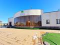 Свободное назначение · 3000 м² за 500 млн ₸ в Аксукенте — фото 15