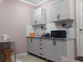 1-бөлмелі пәтер · 55 м² · 5/9 қабат, Акана серэ 52 — Центр,ДК Кокшетау,ЦУМ,Достык,центр площадь, бағасы: 12 000 ₸ — фото 6