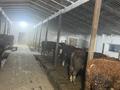 Жеке үй · 4 бөлме · 100 м² · 25 сот., Нура, бағасы: 38 млн 〒 в Кабанбае Батыра — фото 7