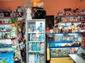 Магазины и бутики • 115 м² за 27 млн 〒 в Жалпаксае — фото 3