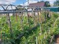 Дача · 2 комнаты · 32 м² · 10 сот., Перепелиная 52 за 8 млн ₸ в Кояндах — фото 4