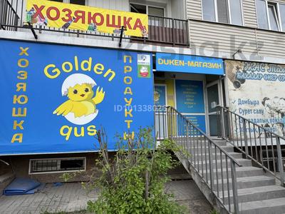 Готовый бизнес · 110 м² за 13 млн ₸ в Иргели