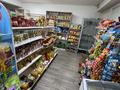 Готовый бизнес · 110 м² за 13 млн ₸ в Иргели — фото 5