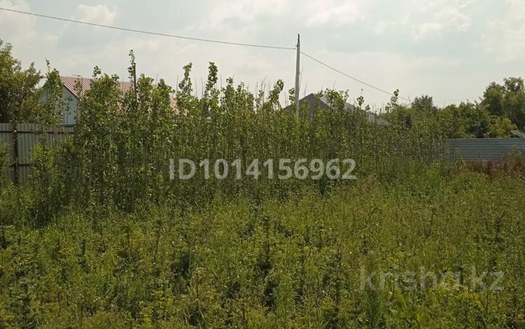Участок · 8 соток, Садовое общество Химик 1/40 1/40 — Садовое общество Химик , участок на первой линии вдоль улицы Абая за 35 млн ₸ в Костанае — фото 5