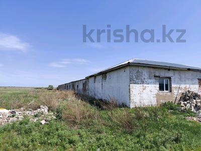 Участок · 50 га, Коянды за 80 млн ₸
