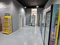 Дүкендер мен бутиктер · 127.8 м², бағасы: 1.3 млн ₸ в Алматы, Бостандыкский р-н — фото 10