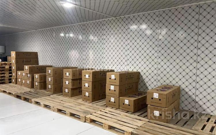 Магазины и бутики, склады · 200 м² за 3 млн ₸ в Алматы, Турксибский р-н — фото 2