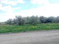 Участок · 10 соток, Береке 196 за 18.5 млн ₸ в Актобе — фото 2