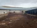 Сельское хозяйство · 800 м² за 40 млн ₸ в  — фото 10