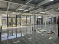 Еркін · 430 м², бағасы: 750 млн ₸ в Алматы