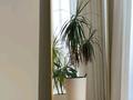 2-комнатная квартира · 84 м² · 3/6 этаж, Кажымукана 59 — Назарбаева за 1 млн ₸ в Алматы, Медеуский р-н — фото 3