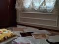 Үйдің бір бөлігі · 3 бөлме · 41 м² · 3 жүзд., Қарасай, Ашекеева 33.2 — Центральный, бағасы: 15 млн ₸ в Алматинской обл., Карасай — фото 3