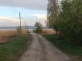 Жеке үй · 1 бөлме · 20 м² · 9 сот., Мохнатка, бағасы: 7.5 млн ₸ в Новой бухтарме — фото 12