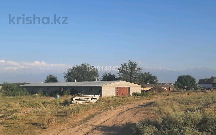 Сельское хозяйство · 6000 м² за 60 млн ₸ в Жайнак (Комсомоле) — фото 2