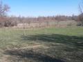 Сельское хозяйство · 6000 м² за 60 млн ₸ в Жайнак (Комсомоле) — фото 4