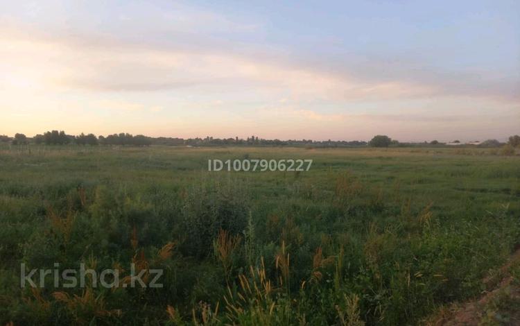 Участок · 4 га, Култума ауылы — Култума ауылнда за 18 млн ₸ в Сарыагаш — фото 2