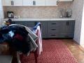 Отдельный дом · 3 комнаты · 70 м² · 14 сот., Барлықбай 33 за 25 млн ₸ в Урджаре — фото 4