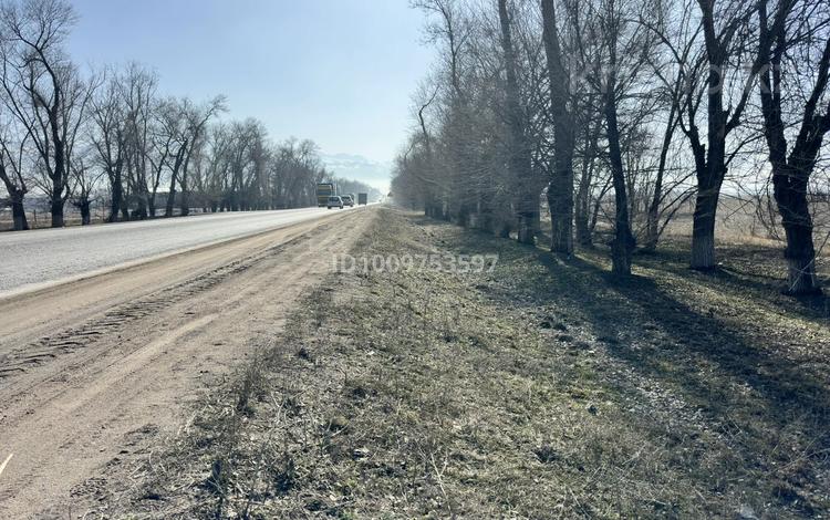 Участок · 3 га, Алматы-Астана за 320 млн ₸ в Каскелене — фото 2