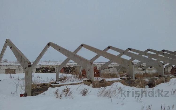 Сельское хозяйство · 719 м² за 900 000 ₸ в Северо-Казахстанской обл. — фото 2