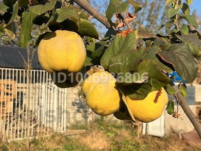 Дача · 3 комнаты · 72 м² · 6 сот., жилой массив Кайнар Булак, Клубничноя 171 — Массив кардан к за 22.5 млн 〒 в Шымкенте, Абайский р-н