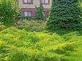 Отдельный дом · 8 комнат · 440 м² · 10.6 сот., мкр Горный Гигант, Мкр Горный Гигант жамакаева 256д за ~ 422.1 млн ₸ в Алматы, Медеуский р-н — фото 36