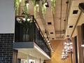 Свободное назначение, общепит · 260 м² за 310 млн ₸ в Астане, Сарайшык р-н — фото 3