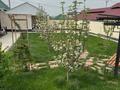 Отдельный дом · 4 комнаты · 220 м² · 0.8 сот., мкр Северо-Запад 249 — Улы дала 249 за 120 млн ₸ в Шымкенте, Абайский р-н — фото 10