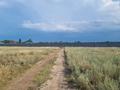 Өнеркәсіптік база · 2.5 га, Коянкус, бағасы: 570 млн ₸ в Алматы — фото 10